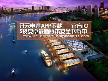 案例展示八