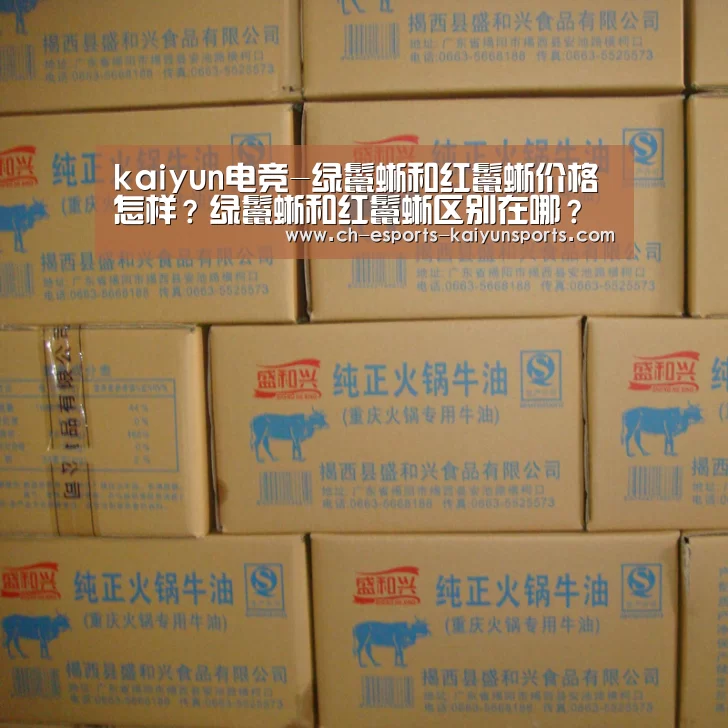 kaiyun电竞-绿鬣蜥和红鬣蜥价格怎样?绿鬣蜥和红鬣蜥区别在哪?(图1) 开云电竞