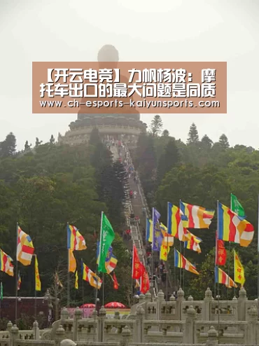  开云电竞平台