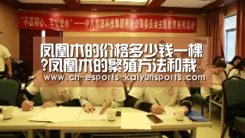 凤凰木的价格多少钱一棵?凤凰木的繁殖方法和栽培方法介绍: kaiyun电竞(图1) 开云电竞官网