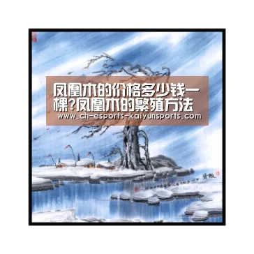 凤凰木的价格多少钱一棵?凤凰木的繁殖方法和栽培方法介绍: kaiyun电竞(图2) 开云电竞平台