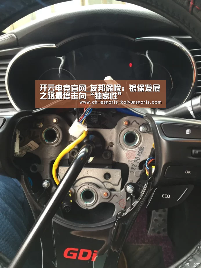 开云电竞官网_友邦保险:银保发展之路最终走向“独家性”(图3) kaiyun电竞