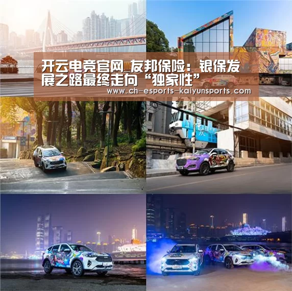 开云电竞官网_友邦保险:银保发展之路最终走向“独家性”(图4) 开云电竞